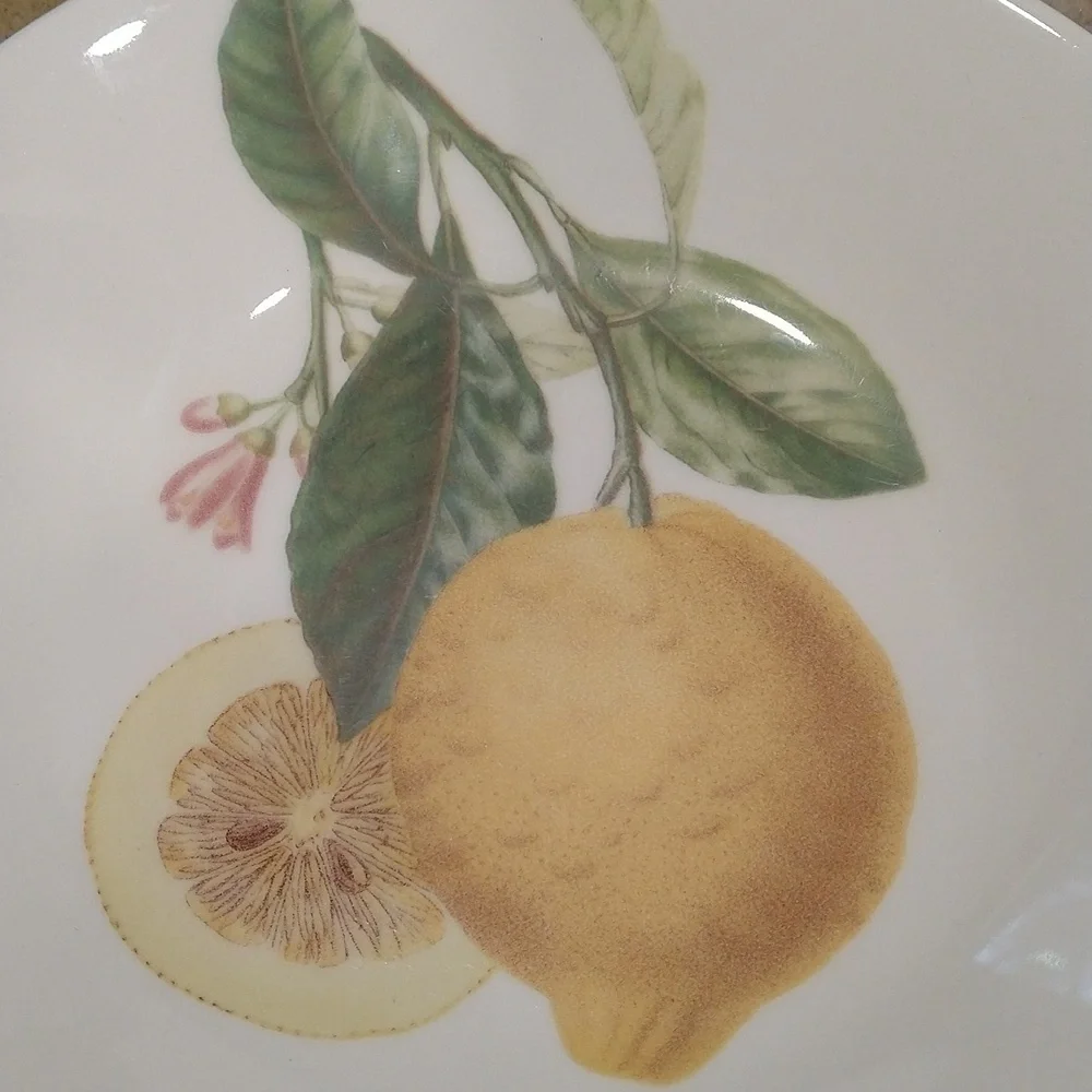 Lemon botanical dish Portugal 8